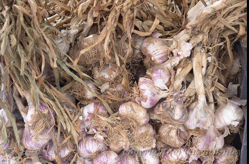 Garlic, Beaune market IMGP2224.jpg